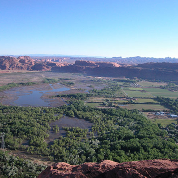 matheson-preserve-537x448